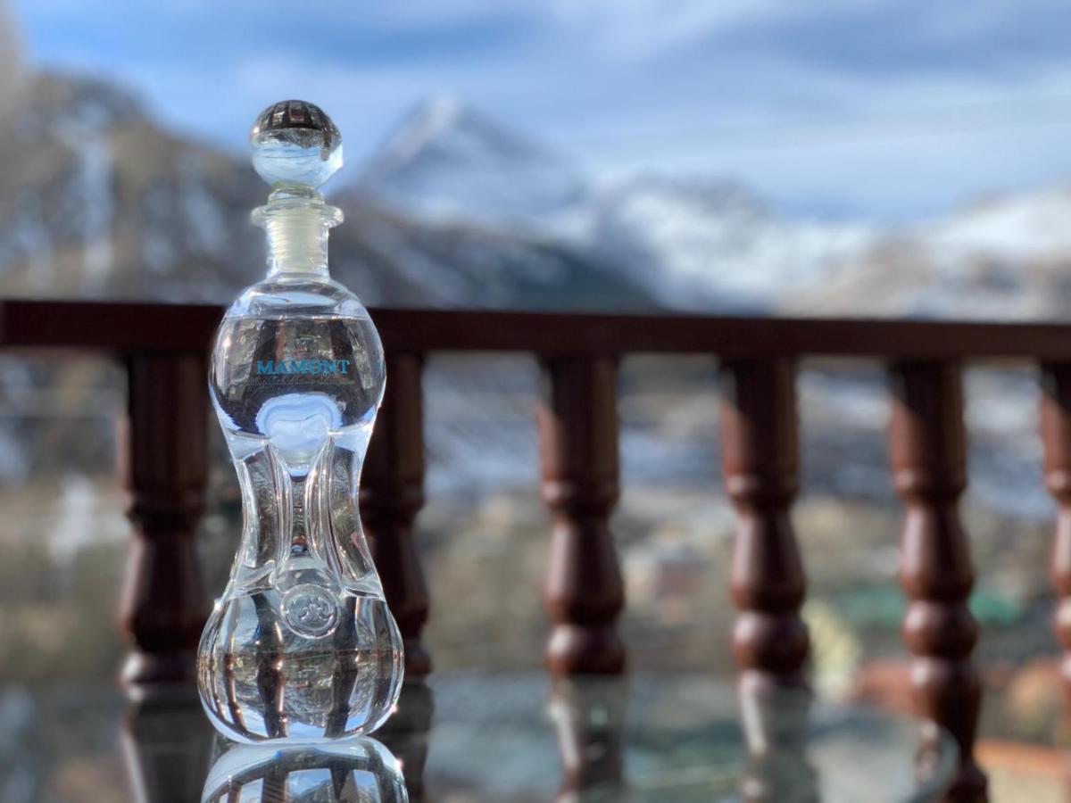 Hôtel Eastern Georgia à Kazbegi Extérieur photo